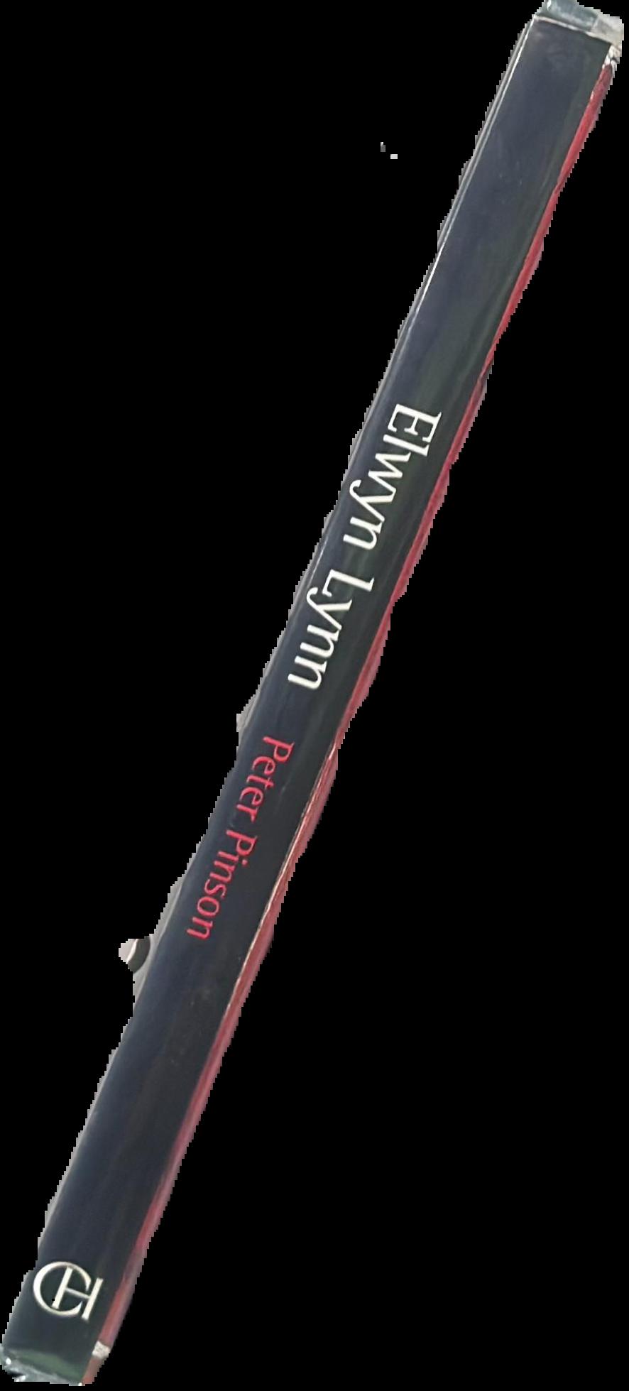 Elwyn Lynn : metaphor + texture spine
