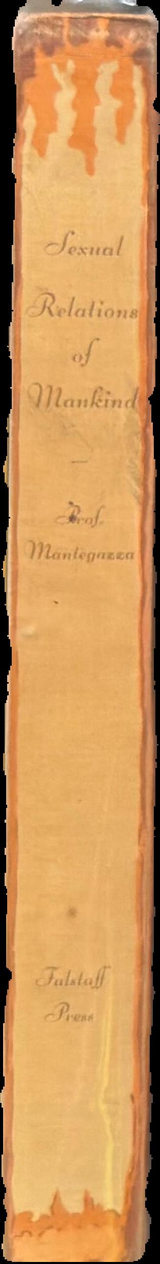 Anthropological studies of sexual relations of mankind spine