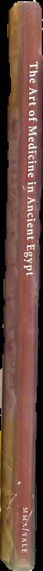The art of medicine in ancient Egypt spine