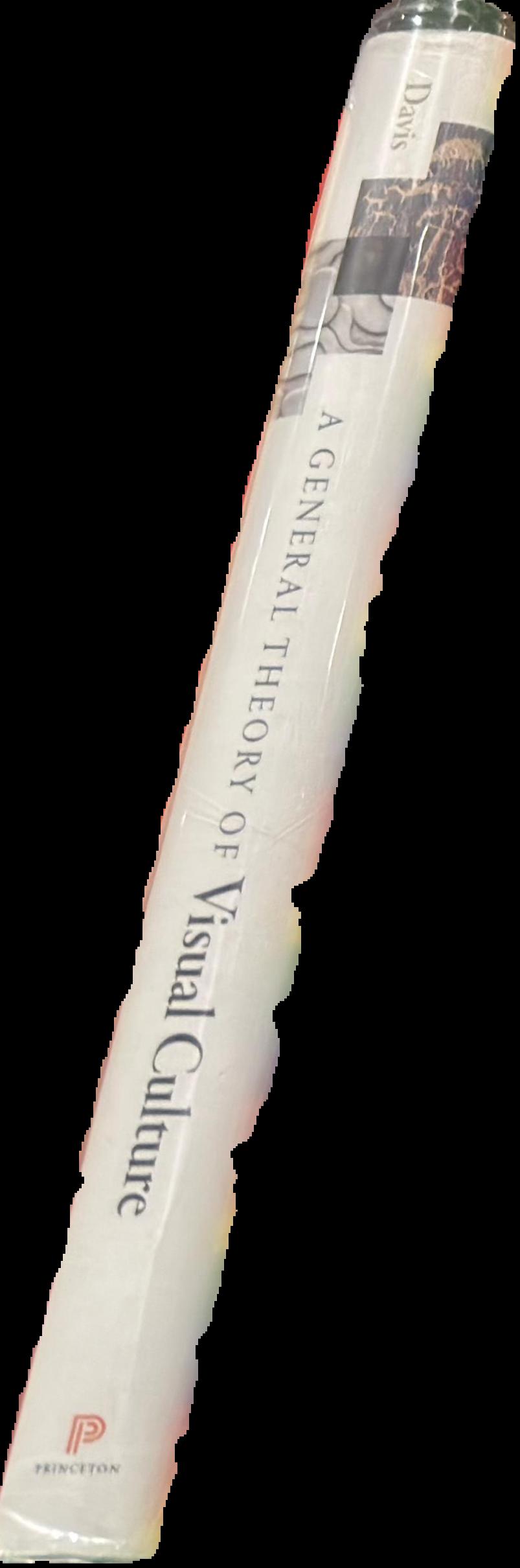 A general theory of visual culture spine