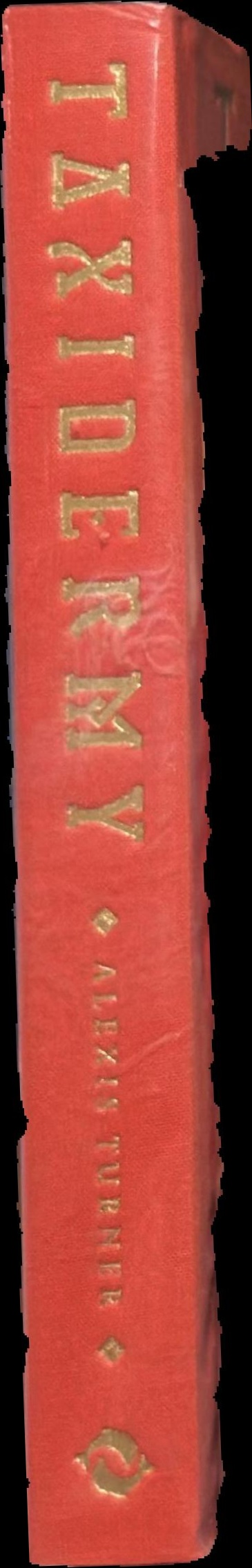 Taxidermy spine