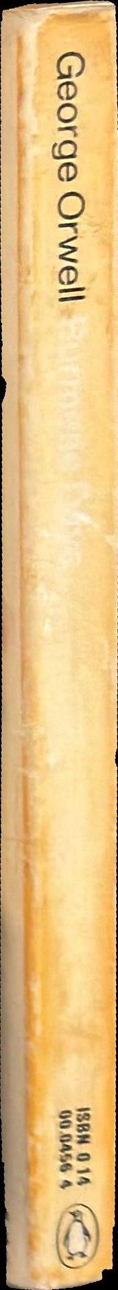 Burmese days spine