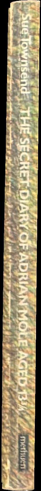 The secret diary of Adrian Mole, aged 13 3/4 spine