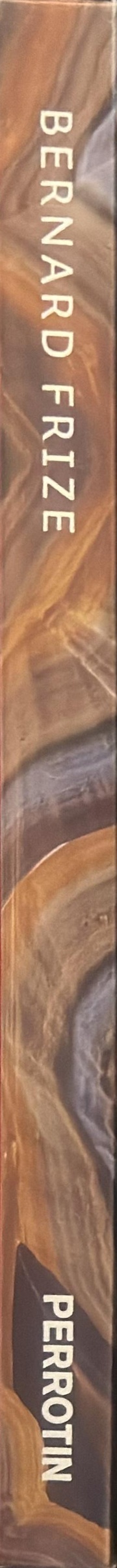 Bernard Frize spine