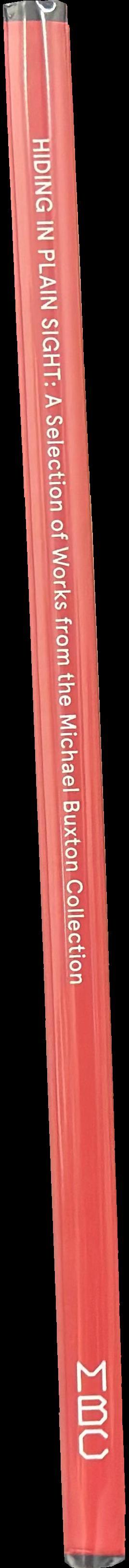 Hiding in plain sight : a selection of works from the Michael Buxton Collection spine