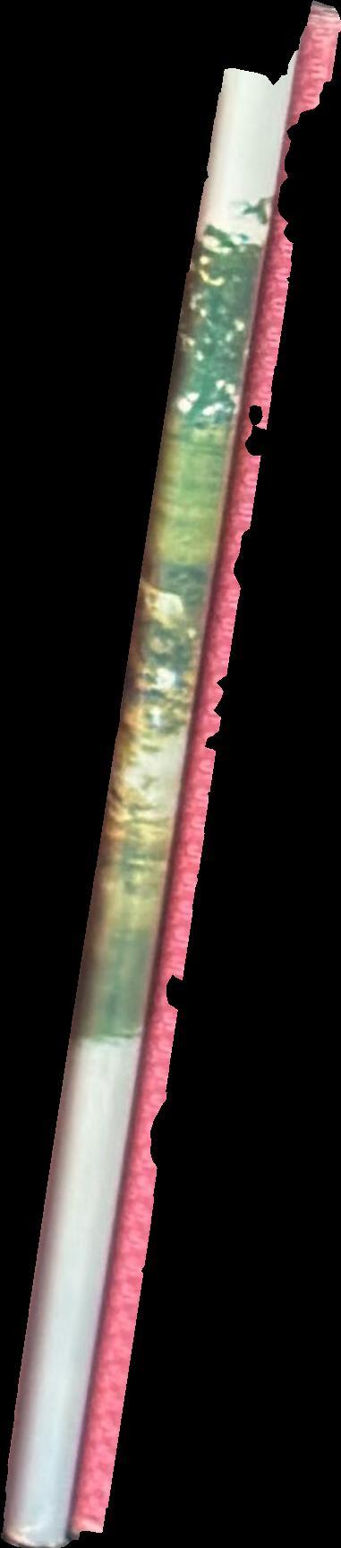 Coonawarra a vignoble spine