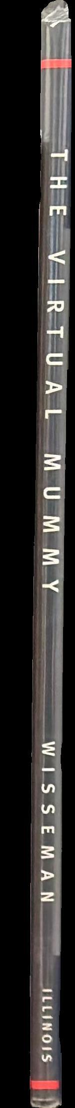 The virtual mummy spine