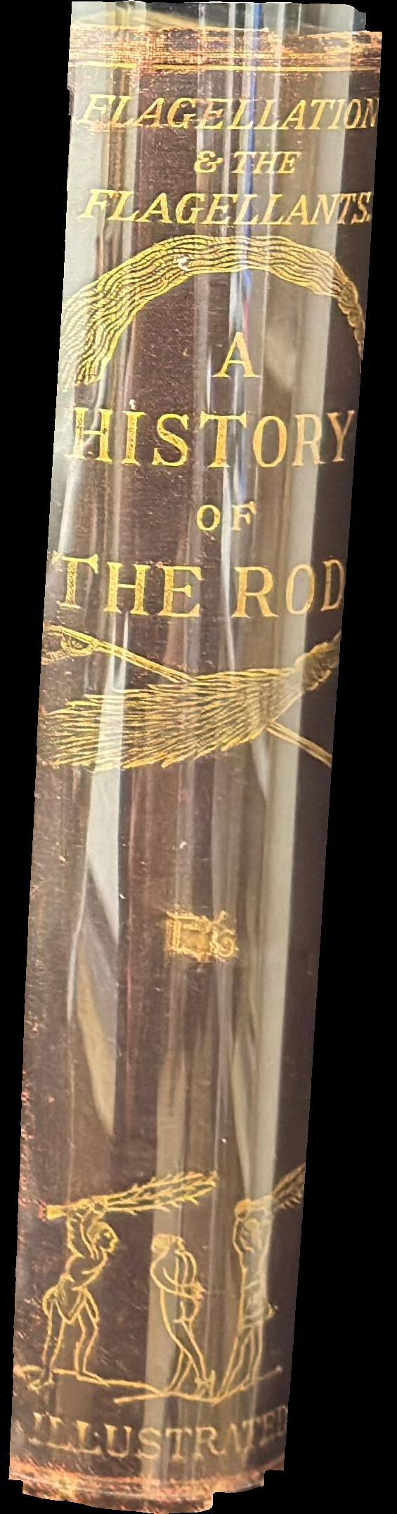 Flagellation and​ the flagellants : a history of the rod in all countries from the earliest period to the present time /​ by the Rev. Wm. M. Cooper spine