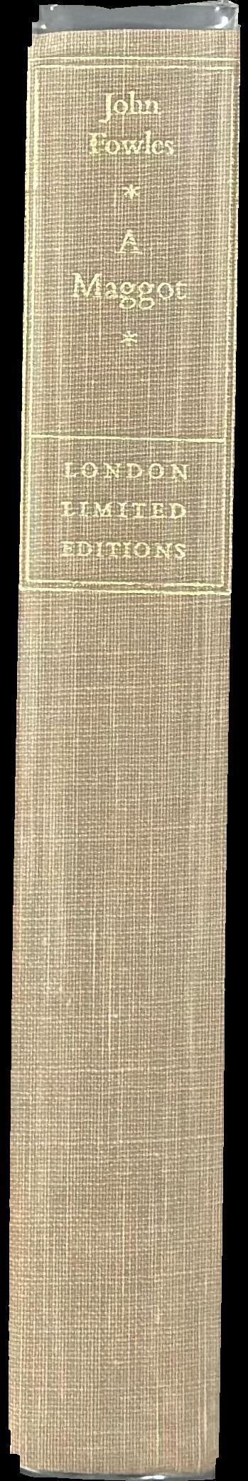 A maggot spine