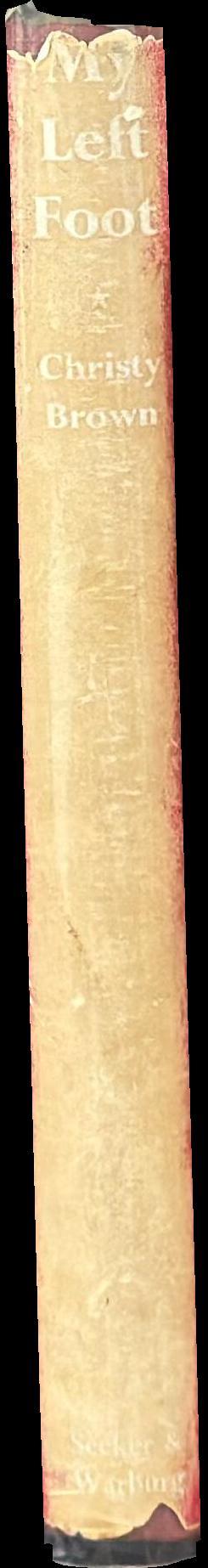 My left foot spine