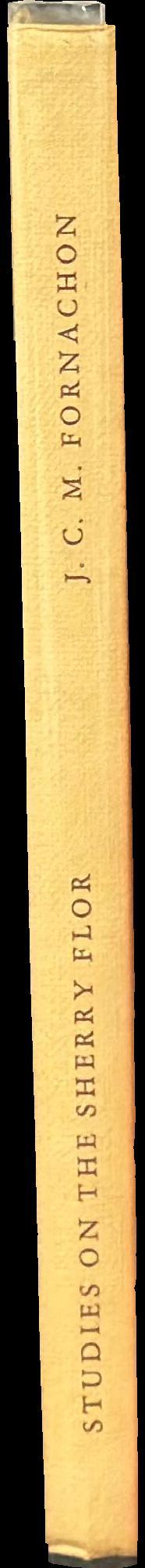 Studies on the sherry flor spine