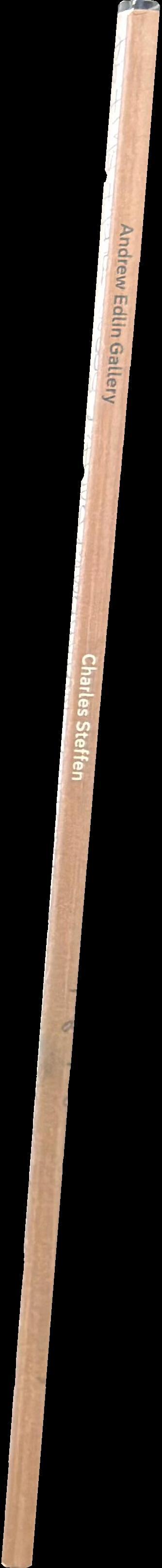 Charles Steffen / essay by Michael Bonesteel spine