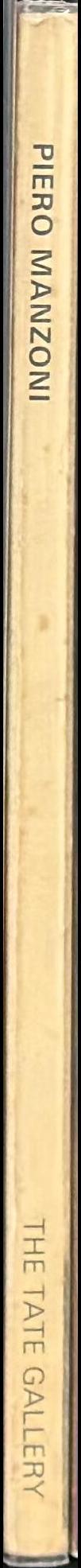 Piero Manzoni : painting, reliefs and objects spine