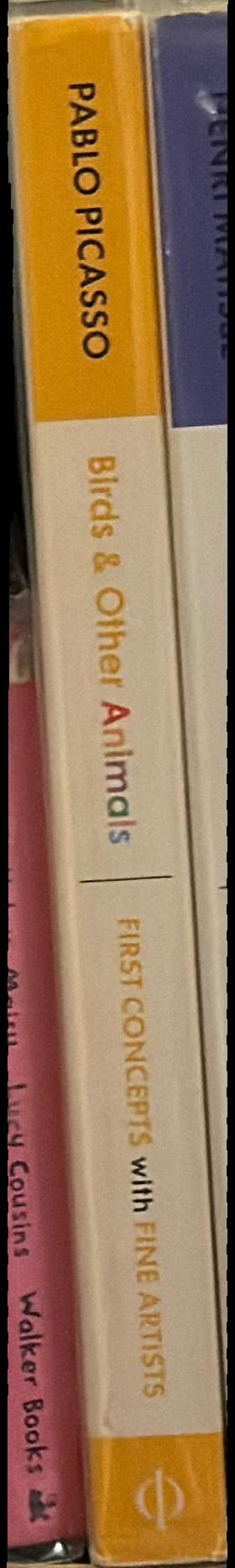 Birds and other animals spine
