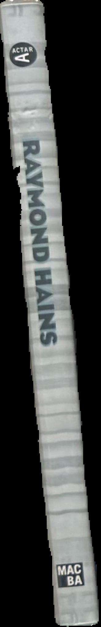 Raymond Hains spine