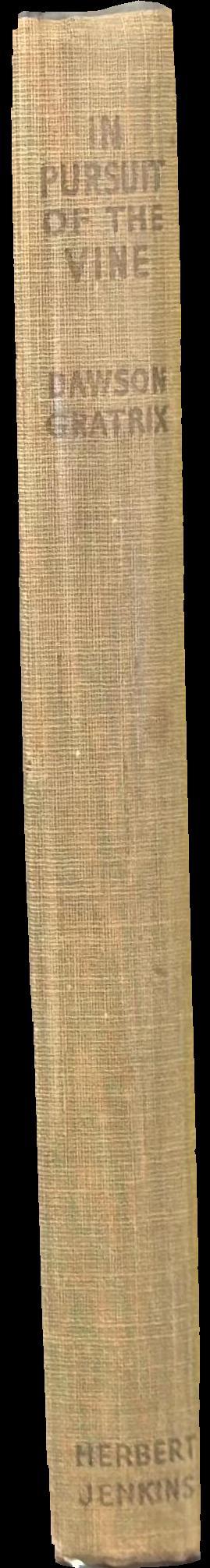 In pursuit of the vine spine