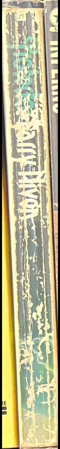 Protector spine