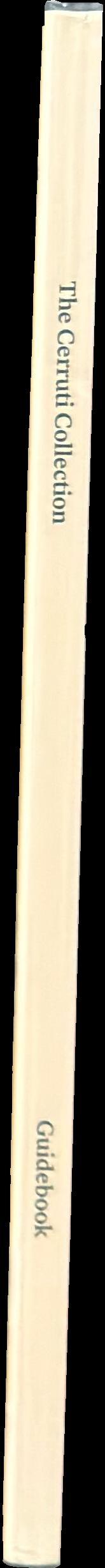 The Cerruti Collection : guidebook / introduction, Carolyn Christov-Bakargiev ; biography, Cristina Accornero ; texts, Fabio Cafagna, Pietro Rigolo spine