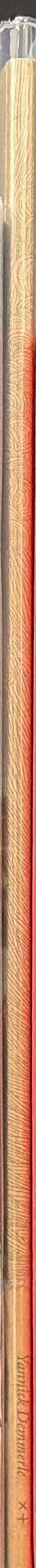Yannick Demmerle spine