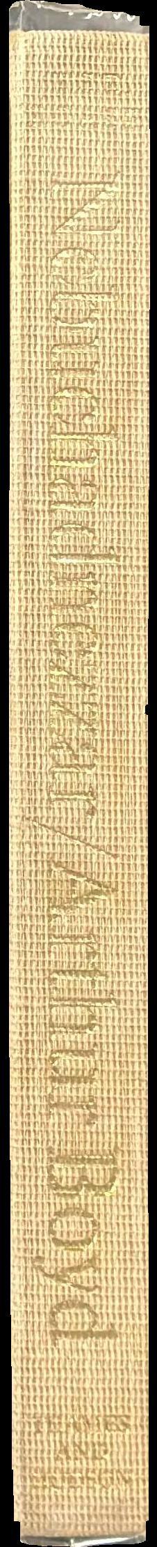 Nebuchadnezzar spine