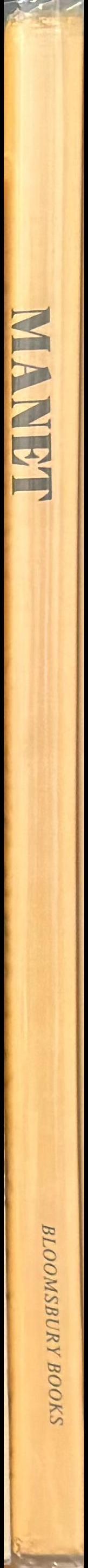 Manet spine