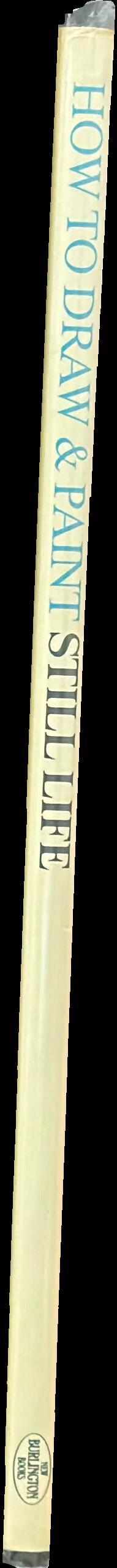 How to draw & paint still life spine