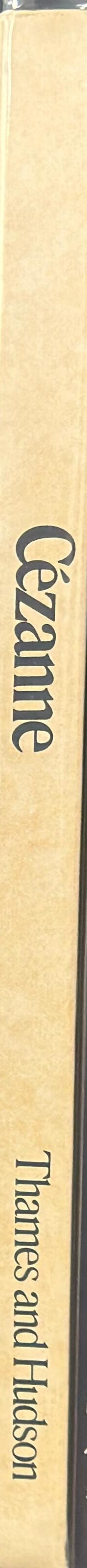 Cézanne spine