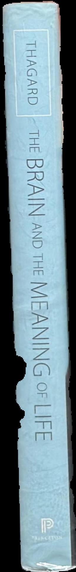 The brain and the meaning of life spine