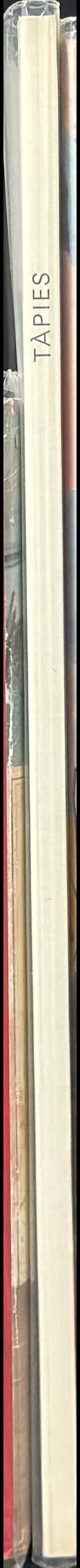 Tàpies / Galerie Beyeler spine