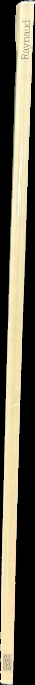 Raynaud : 1974-1978 / Centre Georges Pompidou spine