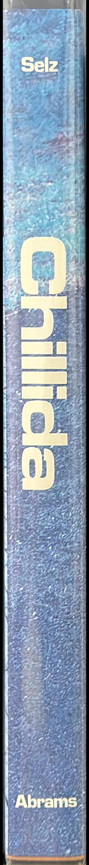 Chillida spine