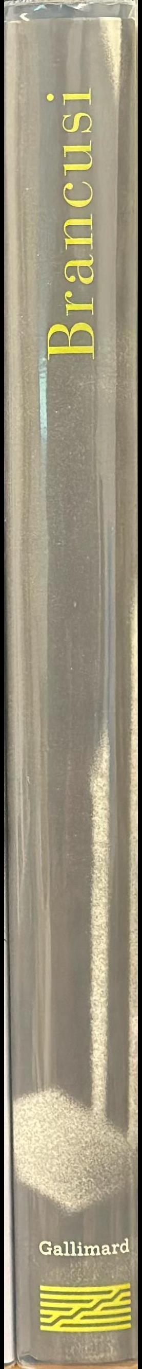 Constantin Brancusi, 1876-1957 spine