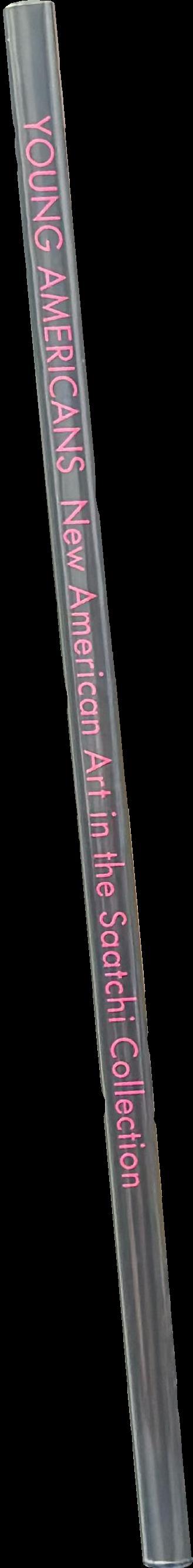 Young Americans : new American art in the Saatchi Collection / [text, Jeffrey Deitch] spine