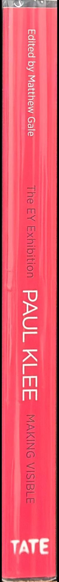 The EY Exhibition : Paul Klee : making visible / Tate Modern spine