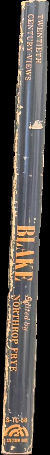 Blake : a collection of critical essays spine