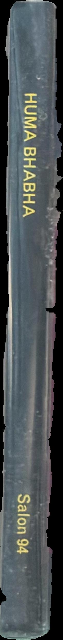 Huma Bhabha spine