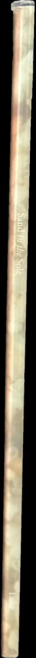 Sand in the sole : poems spine