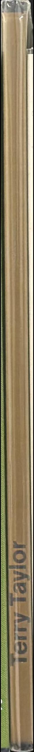 Terry Taylor : the seven deadly sins & the hit list spine