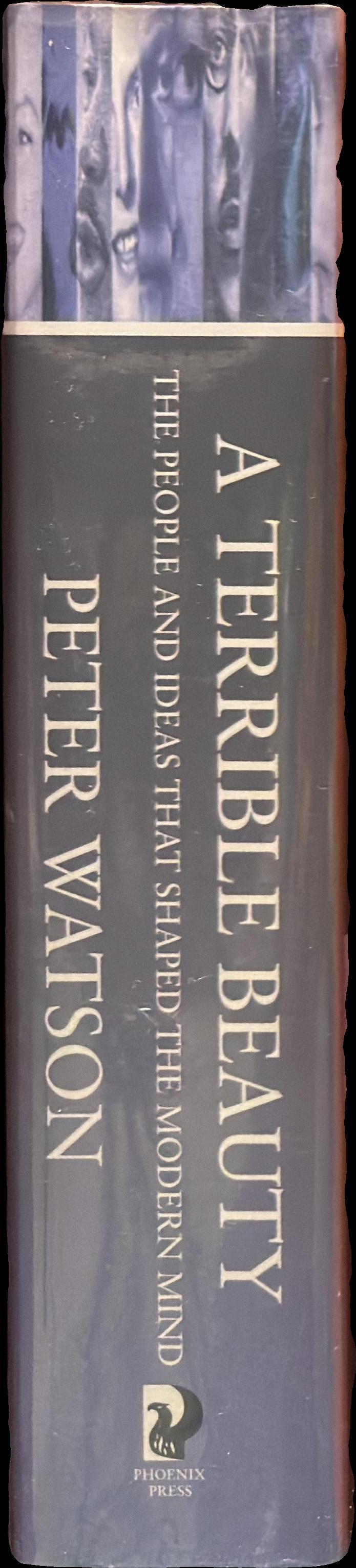 A terrible beauty : the people and ideas that shaped the modern mind : a history / Peter Watson spine