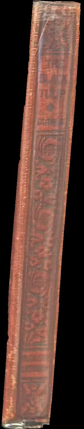 The black tulip spine