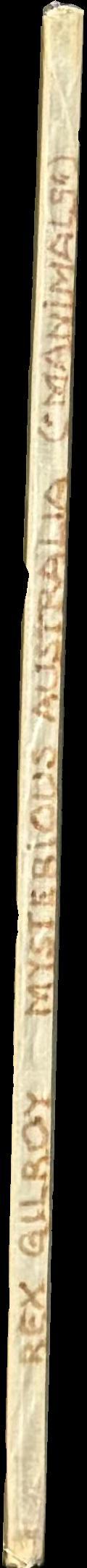 "Manimal mysteries" spine