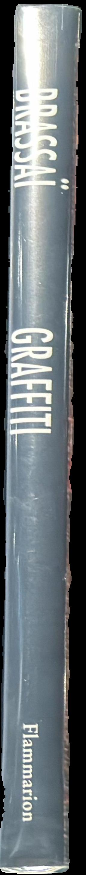 Graffiti spine