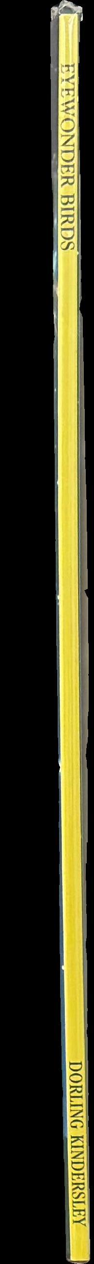 Birds spine