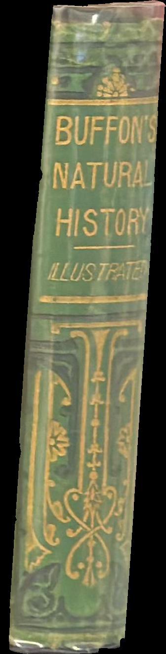 Buffon's natural history spine