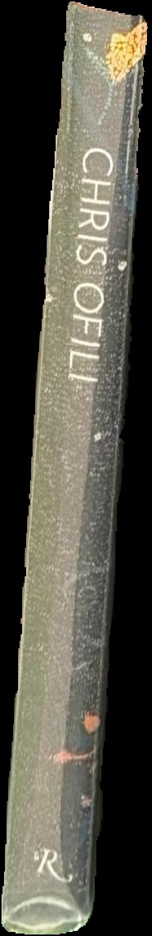 Chris Ofili spine