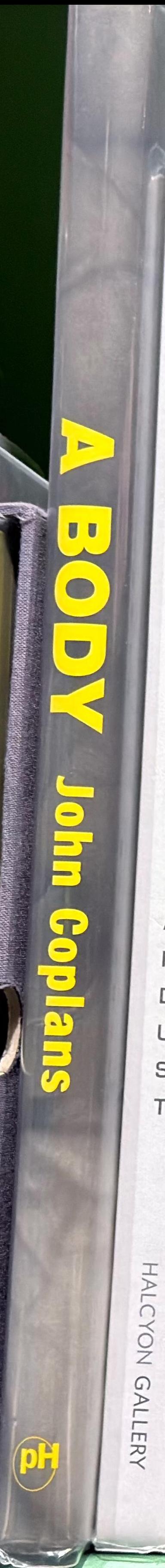 A body spine