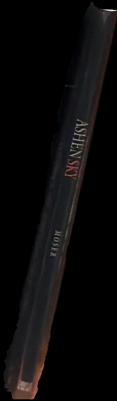 Ashen sky : the letters of Pliny the Younger on the eruption of Vesuvius spine