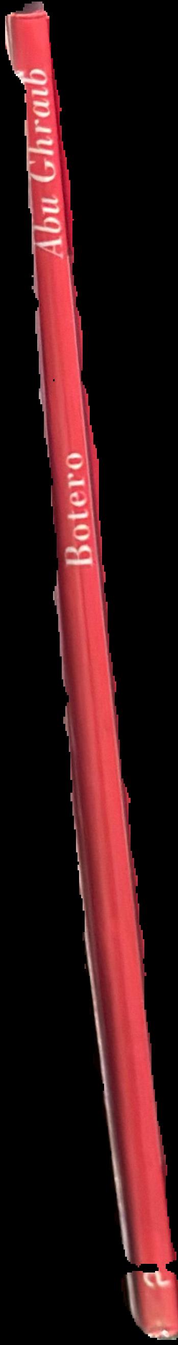 Botero : Abu Ghraib spine