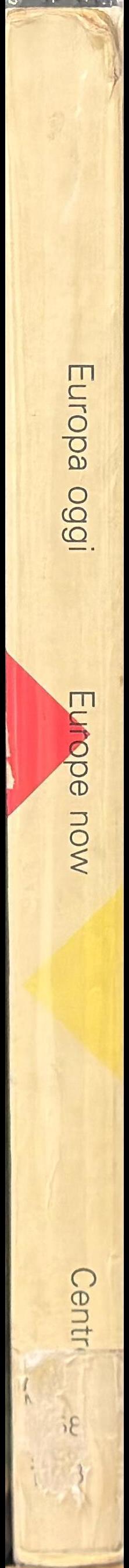 Europa oggi : arte contemporanea nell'Europa Occidentale = Europe now : contemporary art in Western Europe spine