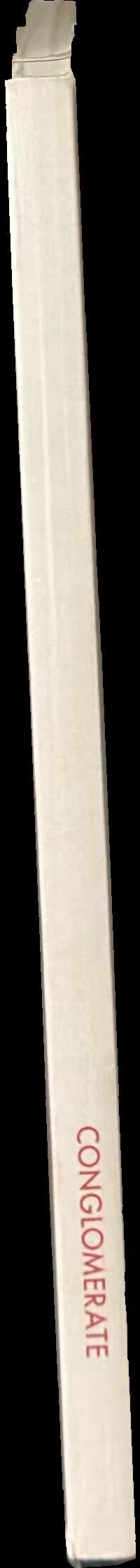 Conglomerate spine